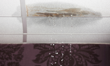 Plumber Northern Beaches